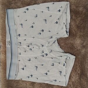 American Eagle Boxer Brief